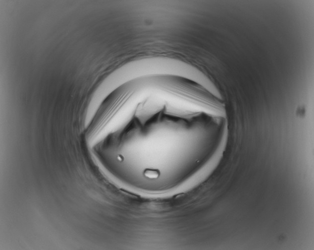 X0000115220320200911251537