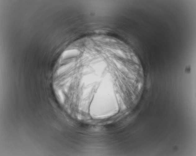 X0000115220321200911251537