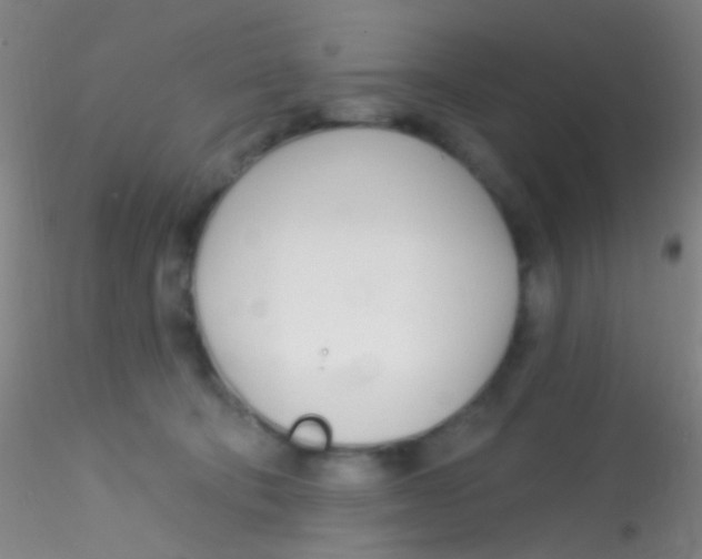 X0000115220322200911251537
