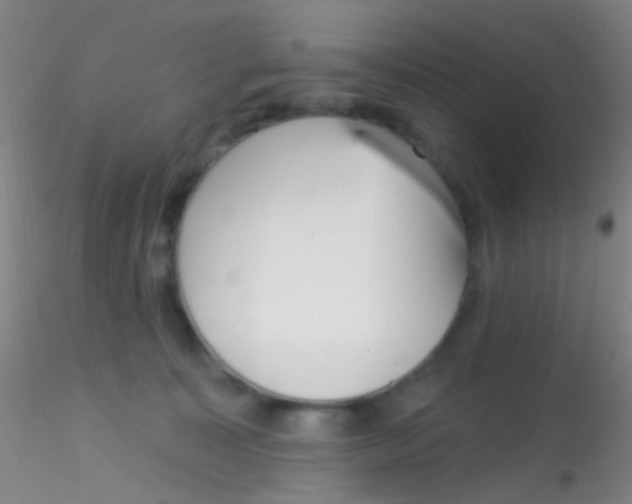 X0000115220323200911251536