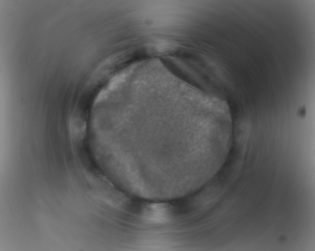 X0000115220324200911251536