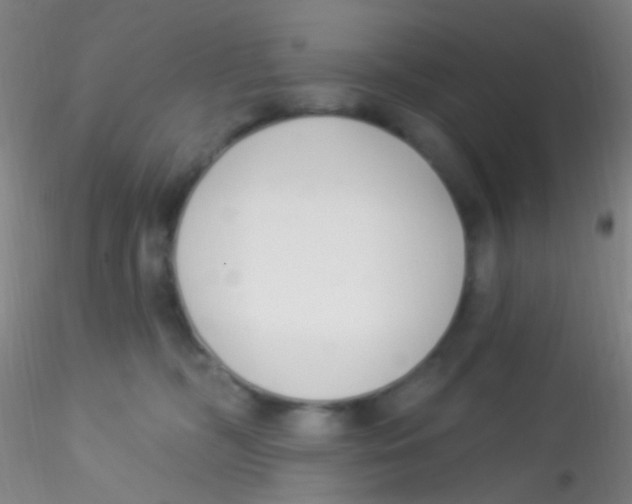 X0000115220326200911251536