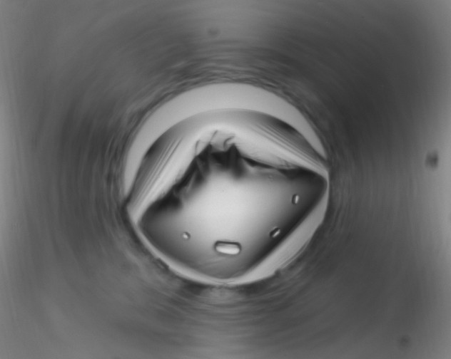 X0000115220327200911251536