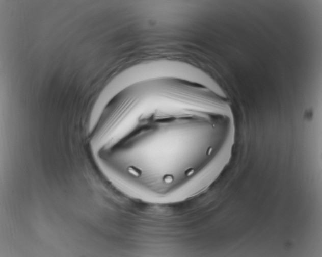 X0000115220328200911251536