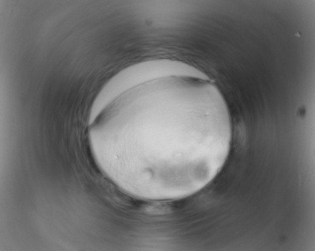 X0000115220331200911251536