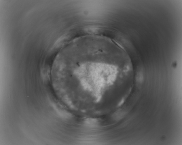 X0000115220332200911251536