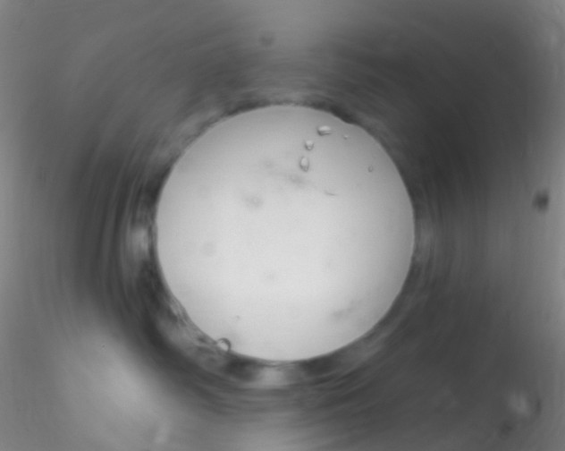 X0000115220334200911251536