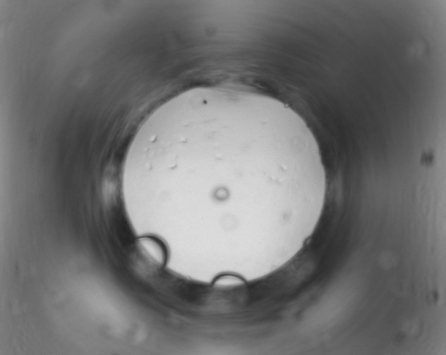 X0000115220335200911251536