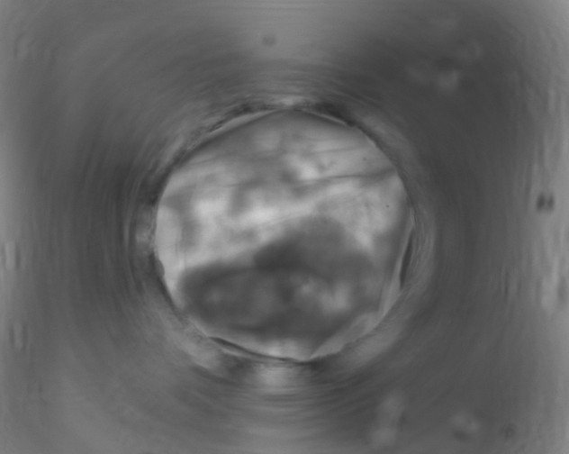 X0000115220336200911251536