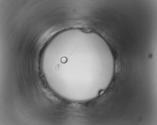 X0000115220339200911251536