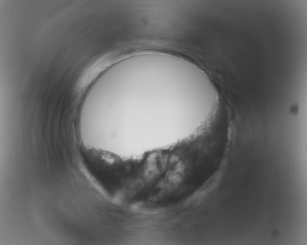 X0000115220341200911251536