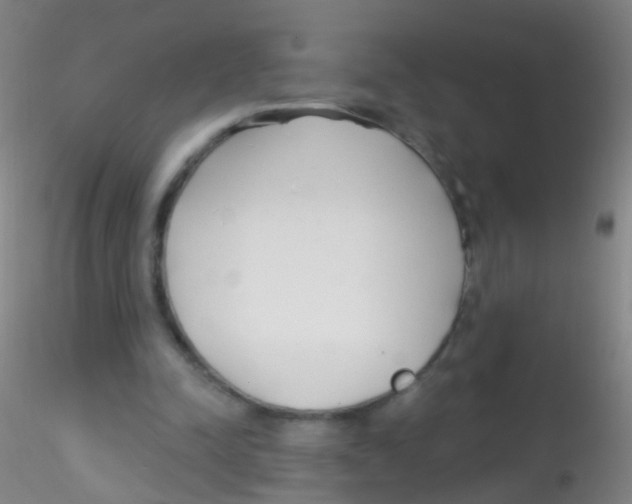 X0000115220342200911251536