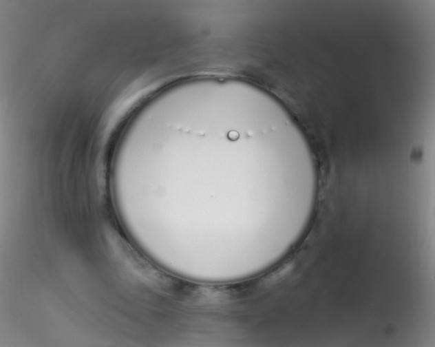 X0000115220343200911251536