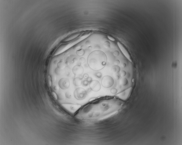 X0000115220346200911251536