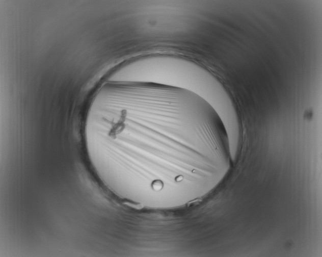 X0000115220347200911251536