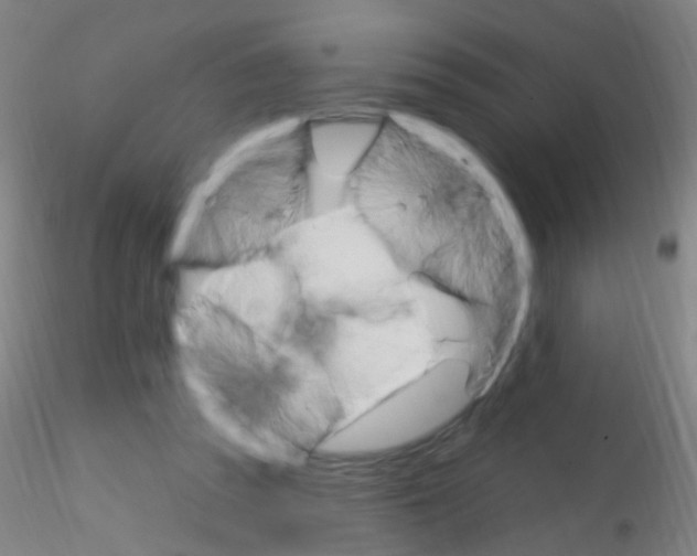 X0000115220353200911251536