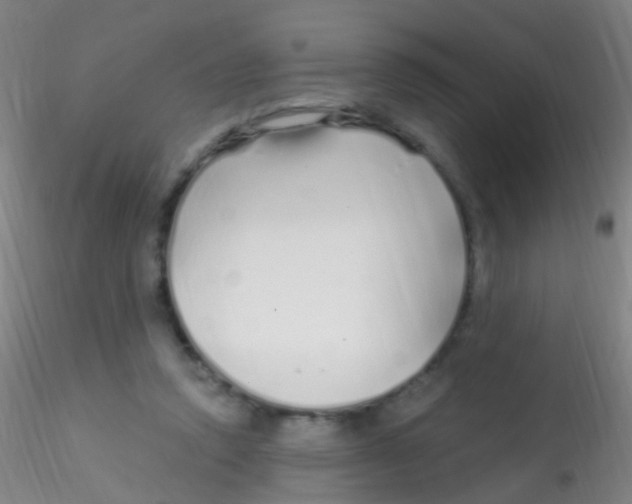 X0000115220354200911251536