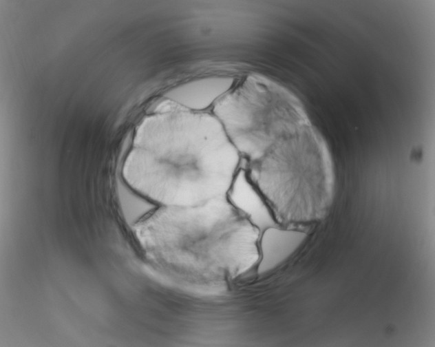 X0000115220357200911251536