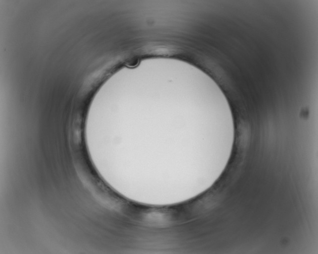 X0000115220358200911251536