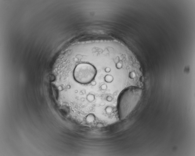 X0000115220359200911251536