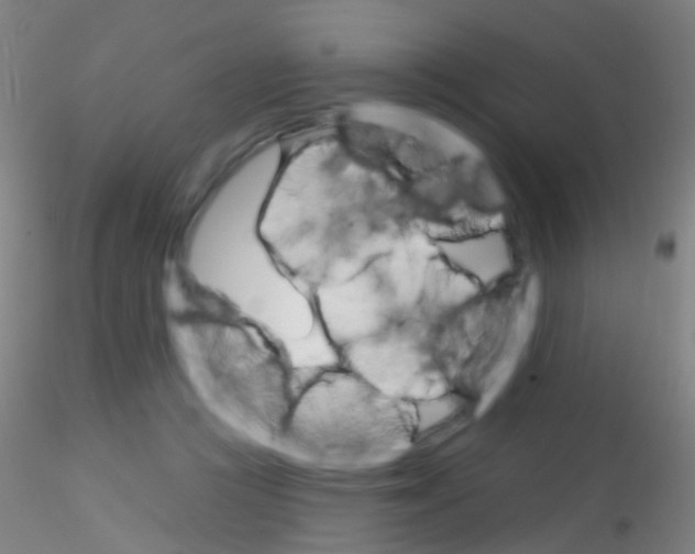 X0000115220361200911251536