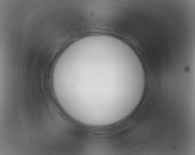 X0000115220365200911251536