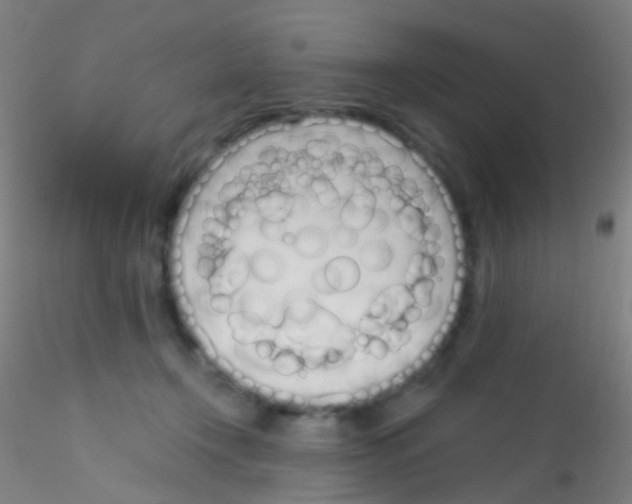 X0000115220366200911251536