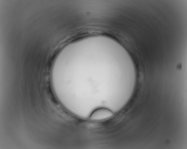 X0000115220367200911251536