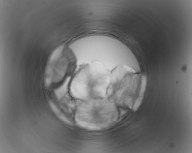X0000115220369200911251536