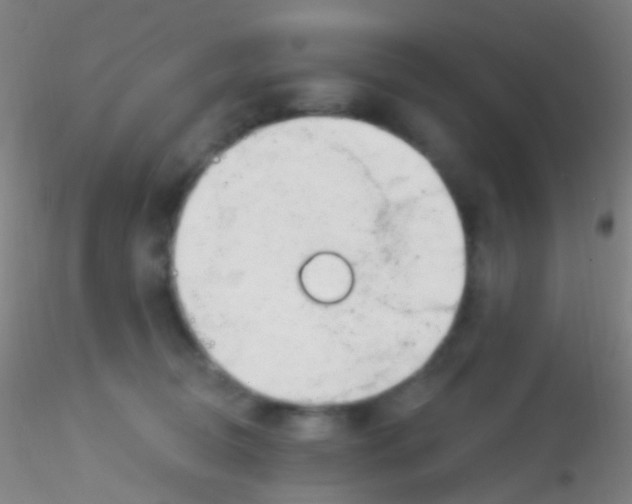X0000115220370200911251536