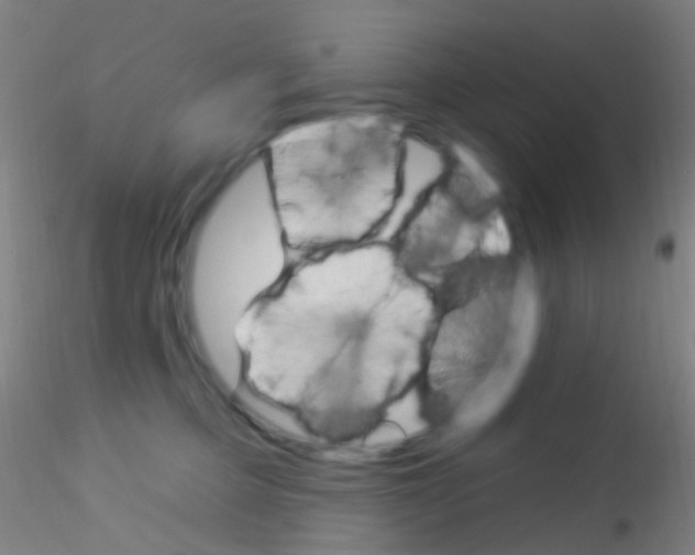 X0000115220373200911251536