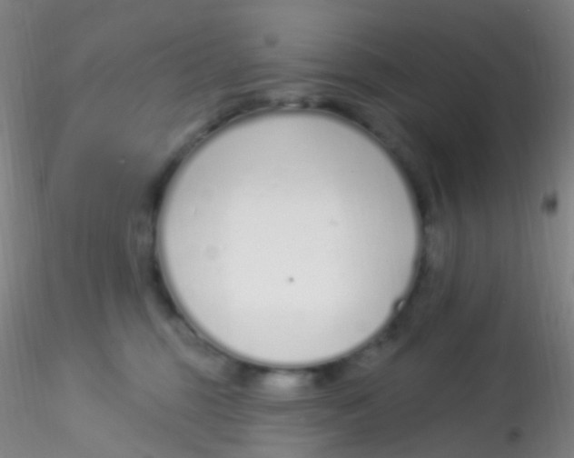 X0000115220375200911251536