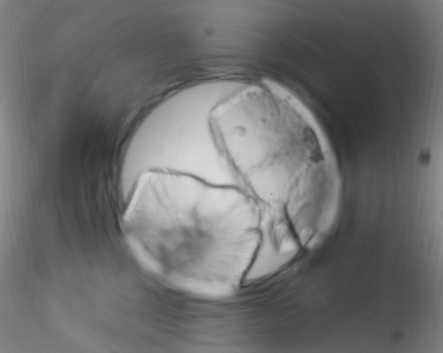 X0000115220377200911251536