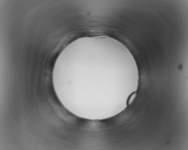 X0000115220379200911251536