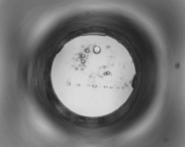 X0000115220382200911251536