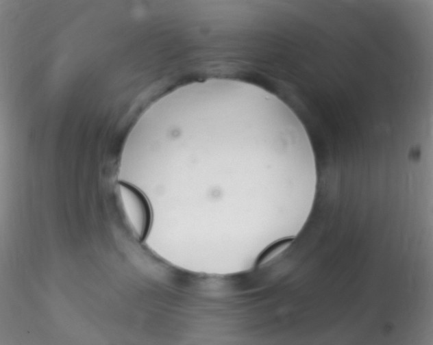 X0000115220383200911251536