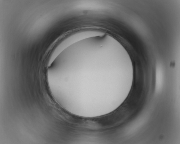 X0000115220387200911251535