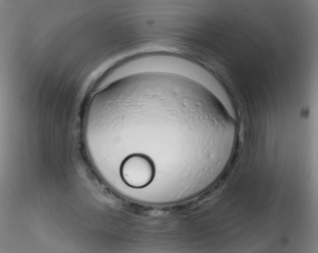 X0000115220388200911251535