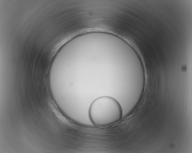 X0000115220389200911251535