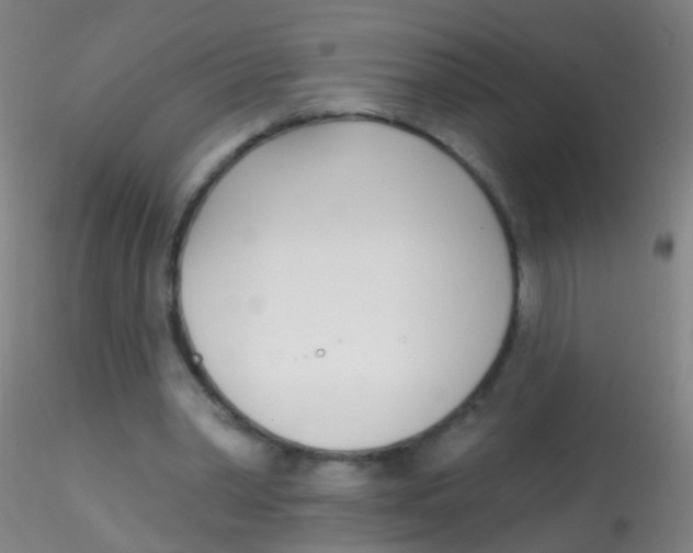 X0000115220390200911251535