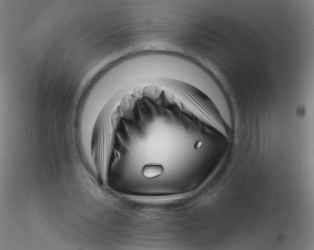 X0000115220391200911251535