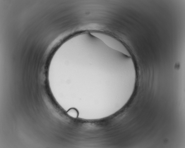 X0000115220392200911251535
