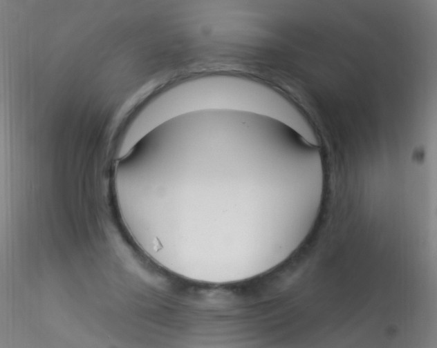 X0000115220395200911251535