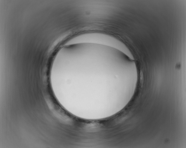 X0000115220396200911251535