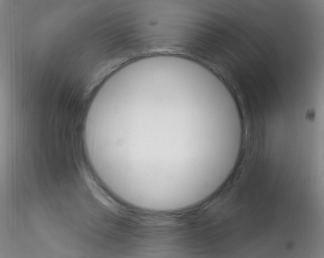 X0000115220397200911251535