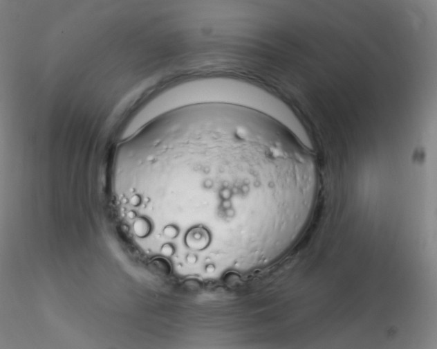 X0000115220400200911251535