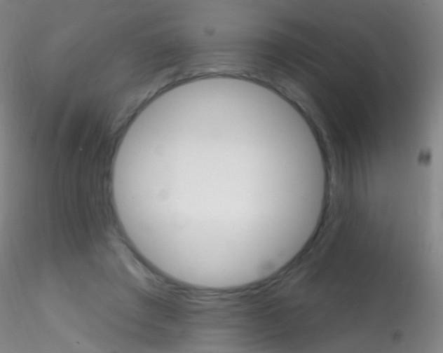 X0000115220401200911251535