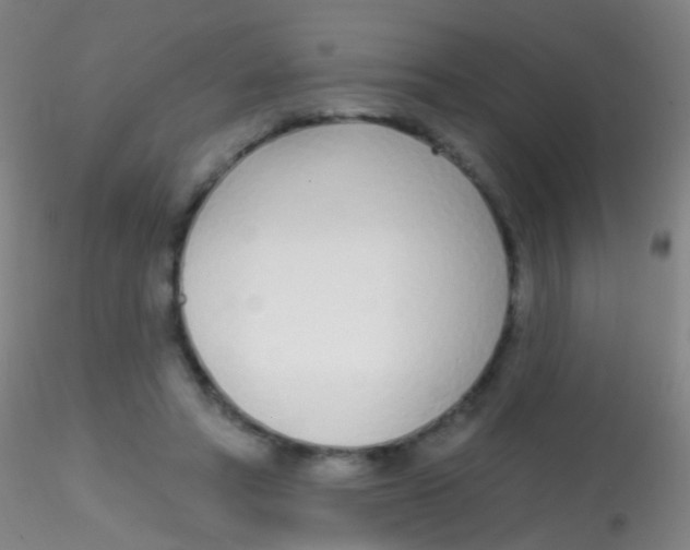 X0000115220402200911251535
