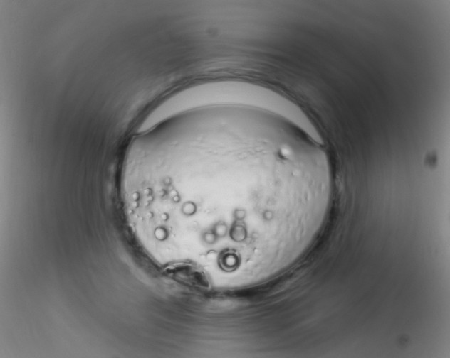 X0000115220404200911251535