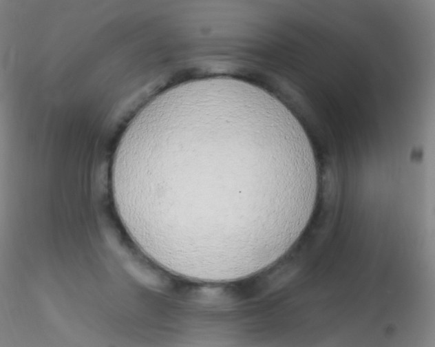X0000115220406200911251535